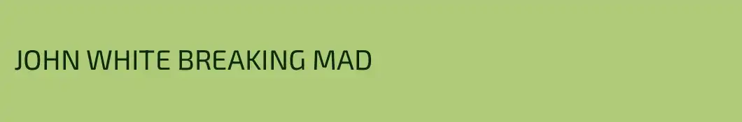JOHN WHITE BREAKING MAD